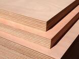 Многослойная фанера (Commercial plywood) - фото 1