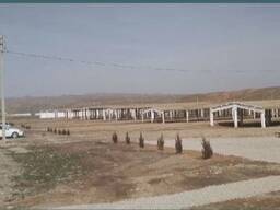 Mol va Dehqon bozori hamda tovuqxona va issiqhonalar bir joyda Sotiladi