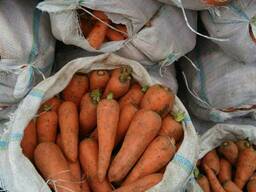 Морковь красная сочная