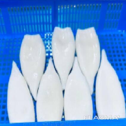 Мороженные морепродукты и рыба в Узбекистан от завода из Китая