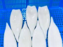 Мороженные морепродукты и рыба в Узбекистан от завода из Китая