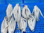 Мороженные морепродукты и рыба в Узбекистан от завода из Китая - fotosurat 3