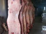 Мясо полутуша корова говядина халяль замороженная оптом в наличии!! - photo 3