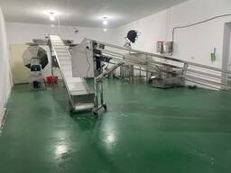 Оборудование для производства острых палочек (辣条）