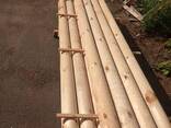 Оцилиндрованное бревно - fotosurat 3