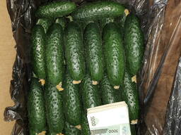 Огурцы