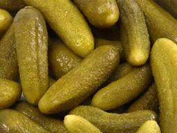 Огурец соленый