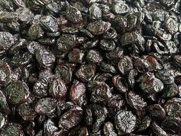 Слива без касточка