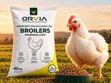 ORVIA broylerlar uchun omuxta yem — Qozog‘istondagi ishlab chiqaruvchidan ulgurji savdoda - fotosurat 1
