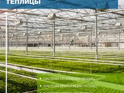 OSC Royal Greenhouses - Строительство Европейских теплиц