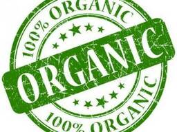 Все виды Овощей и бобовых культур.