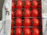 Помидоры тепличные из Узбекистана - fotosurat 3