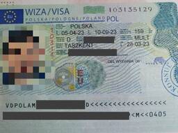 Помощь в бронирование очередей в консульствах и визы