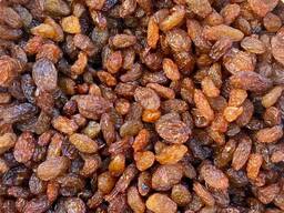 Поставка, экспорт сухофруктов из Узбекистана (Изюм султана)