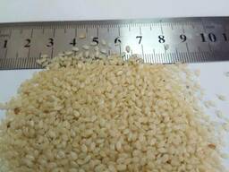 Продаем Кунжут белый (Узбекистан)