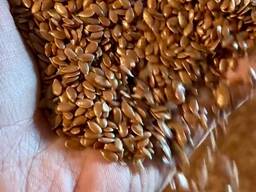 Продам Лён (семена) Казахстан поставим DAP Узбекистан или FCA (зигир уруги) Продадим