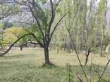 Продаётся участок в Чимгане - фото 3