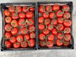 Raqobatbardosh narxlarda eksport uchun Turkmanistondan pomidor, pomidor ulgurji savdosi - fotosurat 2