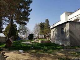 Производство Шоколадной и Масложировой продукции