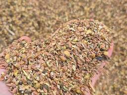 ПШЕНИЦА. ЛЁН. САФЛОР. ЯЧМЕНЬ. ИТД.