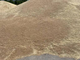 Пшеница мягких сортов 3,4 класса. Ячмень