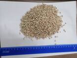 Ракушечник кормовой в мешках фракция 0-0,2 мм и 2-6мм - фото 3
