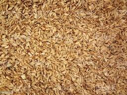 Рисовая шелуха ( rice husk )
