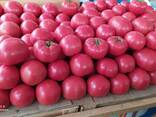 Розовый помидоры - fotosurat 1
