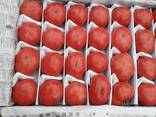 Розовый помидоры - fotosurat 2