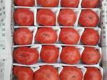 Розовый помидоры - fotosurat 3