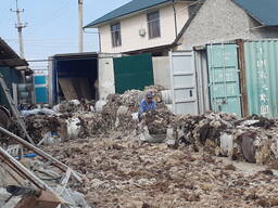 Шерсть овечья мытая