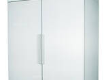 Холодильник CV 110 S - фото 1