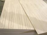 Шпонированная фанера/шпонированная МДФ. Fancy plywood - фото 3