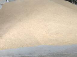 Соевый шрот Soybean meal Kazakhstan