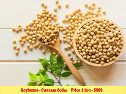 Soybeans / соевые бобы / cое / соя /