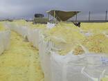 Sulphur - фото 1