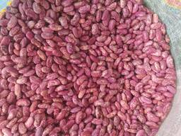 Beans, Dry fruits, dry vegetables, spices, legumes