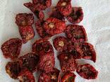 Сушеные томаты — Dried Tomatoes - fotosurat 2