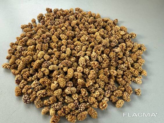 Сушёный тутовник (шелковица)/Dried Mulberries