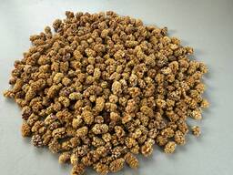 Сушёный тутовник (шелковица)/Dried Mulberries
