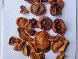 Сушёные яблоки дольками (разные сорта) - fotosurat 3
