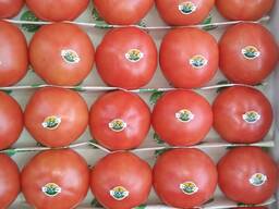 Свежие помидоры/ томаты