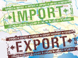 Таможенный брокер. Декларант. Услуги растаможки и затаможки. Импорт/экспорт/реэкспорт - fotosurat 3