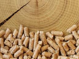 Yoqilg'i yog'och granulalari (pelletlar) sinfi ENplus A1.