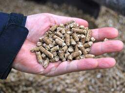 Wood pellets, RUF briquettes, firewood, Straw pellets, Granulate