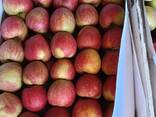 Яблоко свежее в ассортименте - фото 3