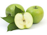 Яблоко зелёное - фото 2
