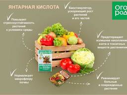 Янтарная кислота