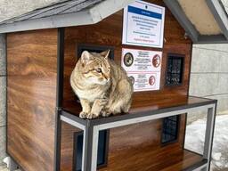 Rus tilida retro porno film