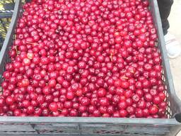 Ягоды Заморозка Вишня Малина